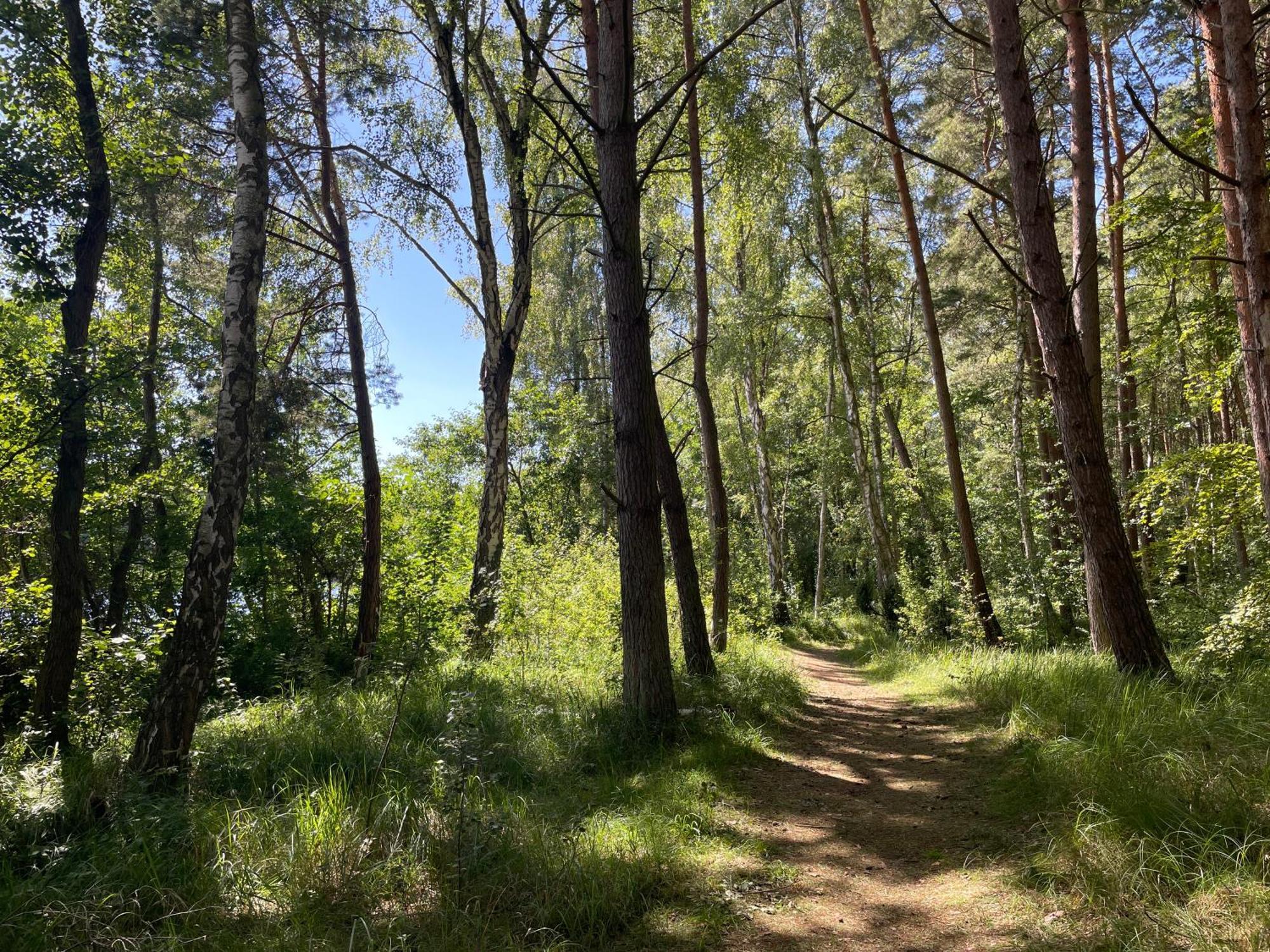 Ostseeperle - Pool, Sauna, 2 Bikes Dziwnów Eksteriør bilde
