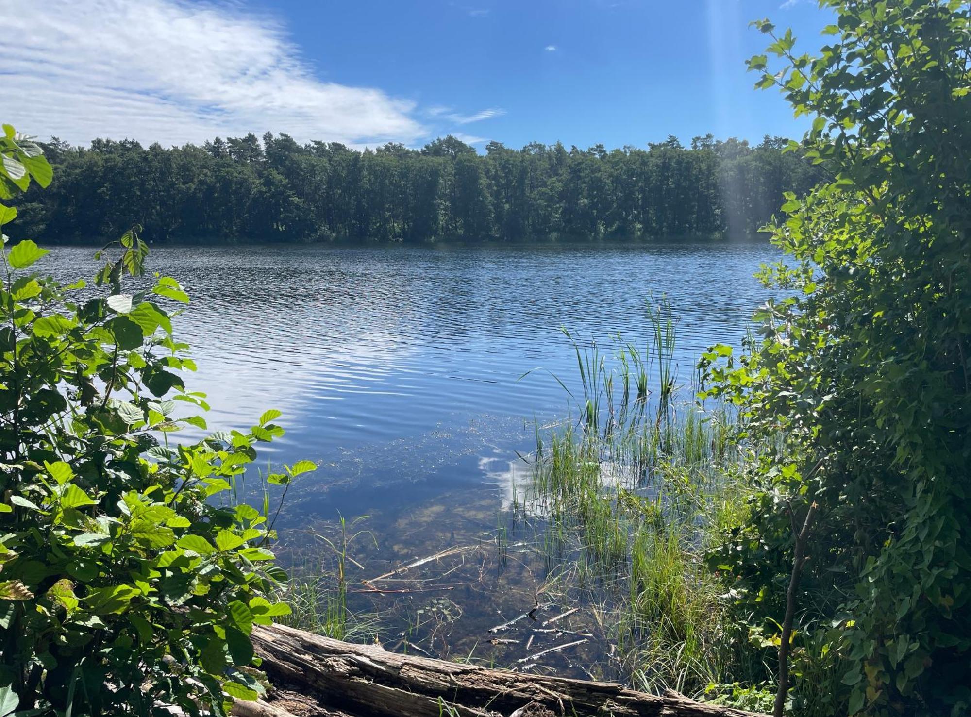 Ostseeperle - Pool, Sauna, 2 Bikes Dziwnów Eksteriør bilde